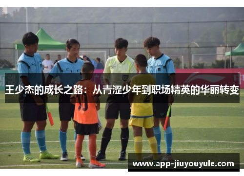 王少杰的成长之路：从青涩少年到职场精英的华丽转变